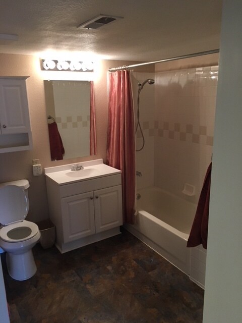 New toilet/sink and tile in shower - 2147 Denton Grove #102