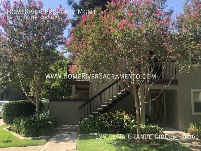 Building Photo - 129 Luna Grande Cir