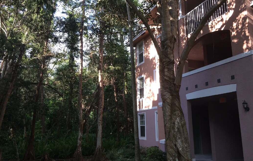 6832 W Sample Rd Unit 6832, Coral Springs, FL 33067 Condo for Rent in Coral Springs, FL