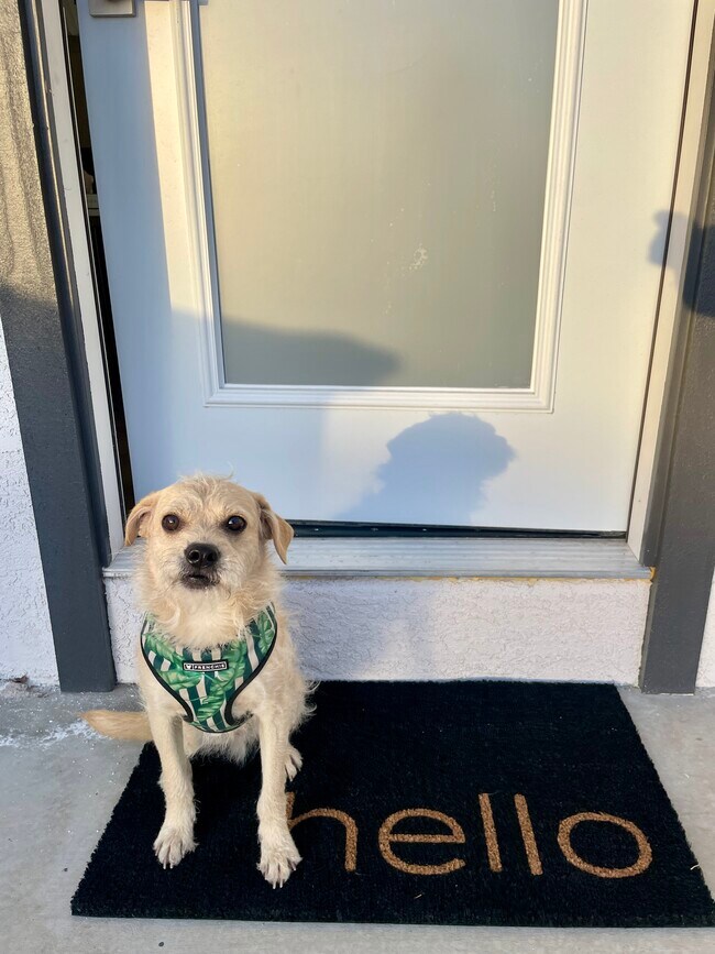 Welcome home from Rigby! - 4661 Berwick Dr