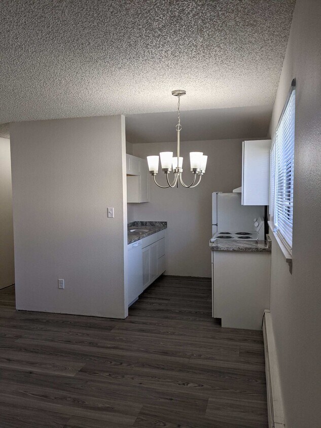 brand new cabinetry, appliances, and countertops - 3303 Myers Ct