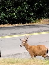 Building Photo - 2641 Irving Ave