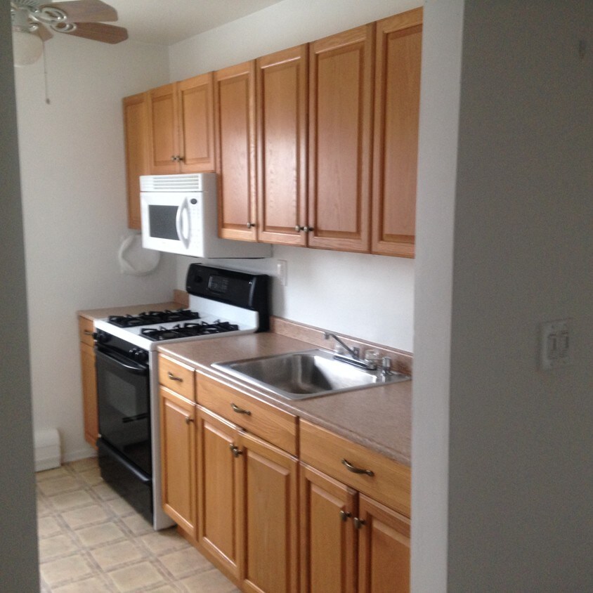 updated kitchen - 31 Knox Terrace