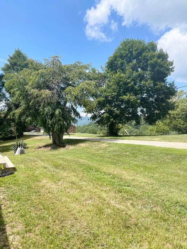 Foto del edificio - Adorable 3 bedroom 2 bath, great Candler l...
