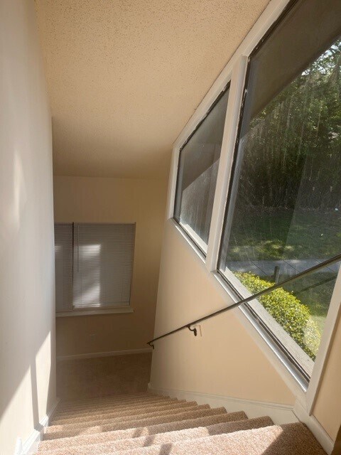 Foto del edificio - 303 Rutherglen Muse