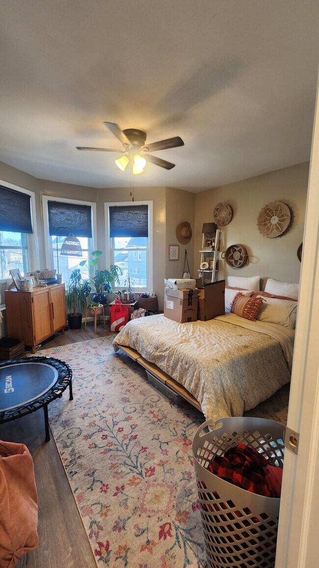 Foto del edificio - 237-239 Stephens St