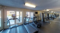 This fitness center offers a comprehensive workout environment designed to accommodate a variety of exercise routines. The space is organized into distinct functional zones, providing room for both cardio training and strength work without feeling congested.

The cardio area is well-appointed with multiple treadmills, elliptical trainers, and a stationary recumbent bike from True Fitness. Double glass doors along one wall flood this zone with natural light and provide views to the outdoors, enhancing the sense of openness. A wall-mounted television is positioned nearby for entertainment during workouts.

The strength training section features a multi-station cable and weight machine, supported by full-length mirrors that visually expand the space and allow users to monitor their form. The layout transitions smoothly between zones, aided by a structural column that subtly defines each area.

Throughout the fitness center, dark rubber flooring provides durable, impact-absorbing coverage suited for high-traffic use. The walls are finished in a combination of muted blue-gray textured paint and neutral tones, contributing to a focused, energetic atmosphere. Textured ceilings with fluorescent and accent lighting ensure consistent illumination across all workout areas.