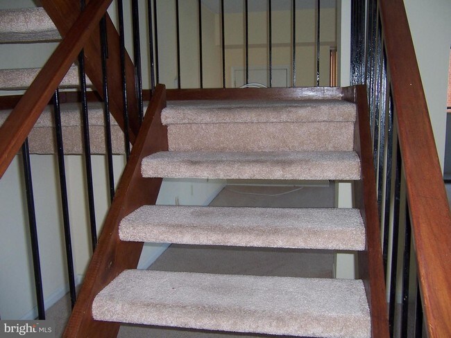 Building Photo - 5300 Columbia Pike