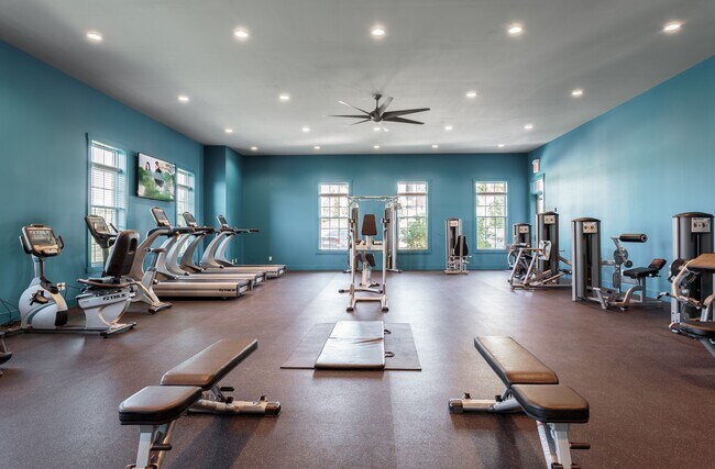 Building Photo - The BLVD at Hays