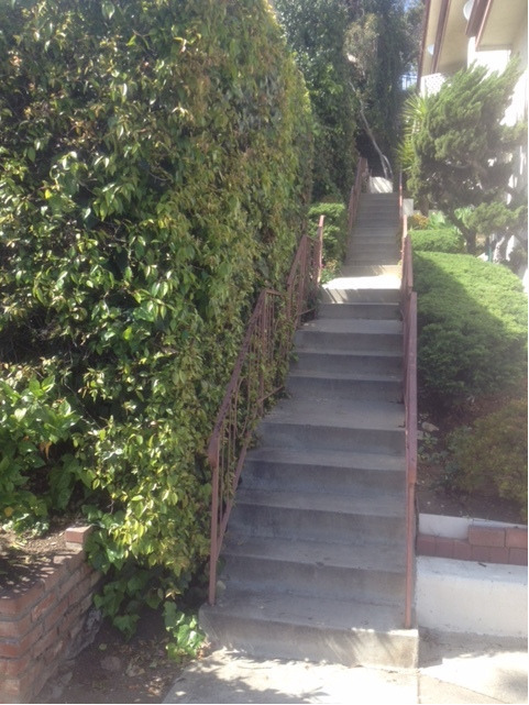 Building Photo - Pacific Palisades