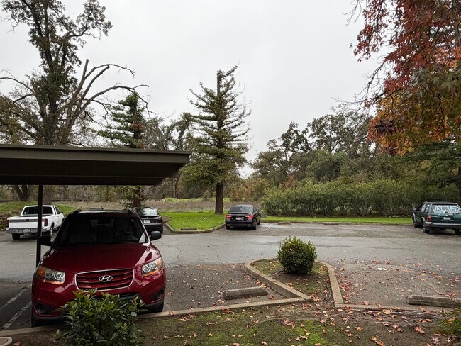 Estacionamiento con espacio cubierto - 720 Sunrise Ave