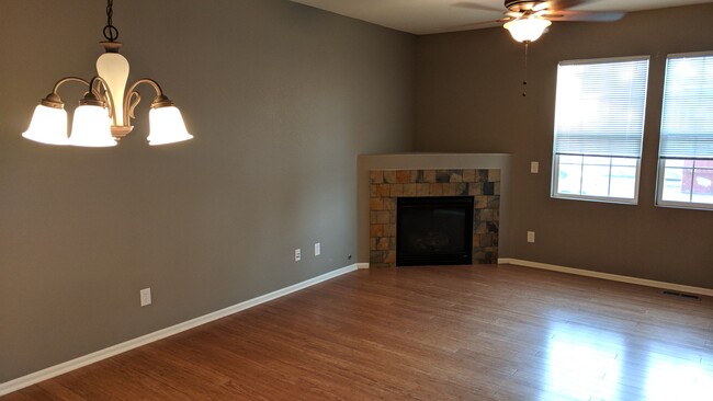 Fireplace - 157 S McGregor Cir