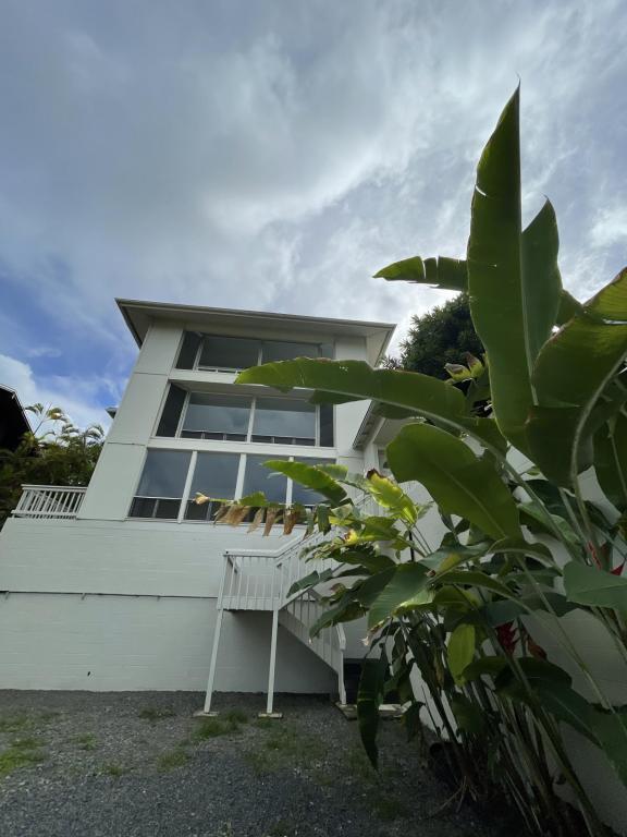 Foto del edificio - 47-218 Kamehameha Hwy 1st floor
