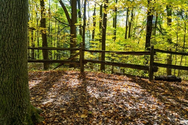 Wooded trails at the Kortright Centre for Conservation in Vaughan