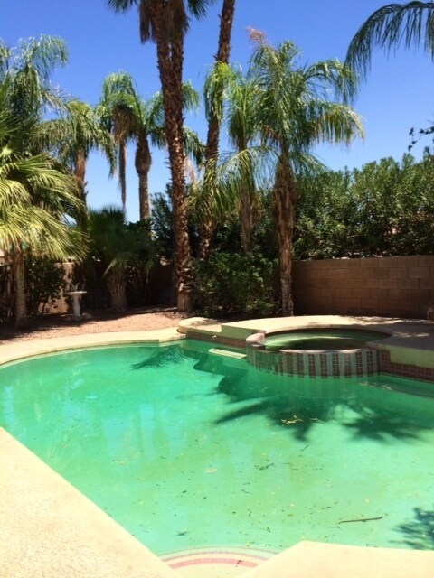 Foto del edificio - COMING SOON! 4 Bed/2 Bath POOL HOME in Pal...