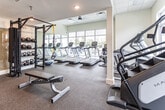 Located at 400 Eden Roc Cir in Virginia Beach, Virginia, this well-appointed fitness center offers a comprehensive workout environment across a single floor. The space is designed with functionality and comfort in mind, featuring a drop ceiling with recessed and panel lighting that keeps the area bright and welcoming.

Large windows along multiple walls flood the gym with abundant natural light while providing views of the surrounding community. A full-length wall mirror enhances the sense of openness and supports proper form during training sessions.

The cardio zone is equipped with a row of Matrix treadmills, dual elliptical cross-trainers, and a Matrix stair climber, all positioned to take advantage of the natural light from the oversized windows. The rubber flooring throughout provides durability and traction ideal for high-impact activity.

A dedicated strength and functional training area houses a power rack with TRX suspension straps, an organized rack of kettlebells and medicine balls, a Matrix rowing machine, an adjustable weight bench, and a full dumbbell rack. Stability balls are neatly stored on a vertical stand, and resistance bands are mounted on the wall for easy access.

Storage closets provide additional utility space, and the facility includes a clearly marked emergency exit, ensuring safety throughout. The overall ambiance is clean, modern, and well-organized, making it a fully equipped destination for a wide variety of fitness routines.