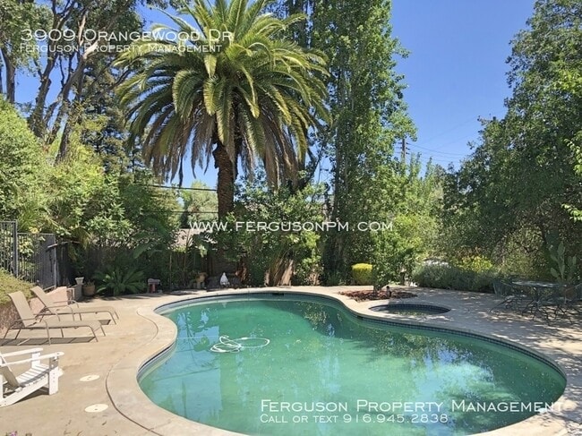 Building Photo - 3909 Orangewood Dr