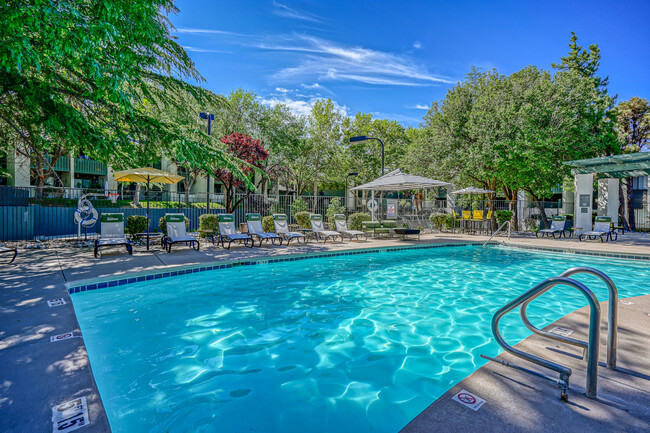 Sparkling Swimming Pool - Treehouse Apartments