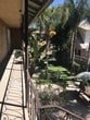 Primary Photo - 1029 Magnolia Ave