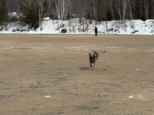 Building Photo - 17 Water St