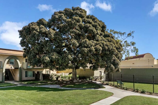 Building Photo - Los Arbolitos Apartments, Oxnard