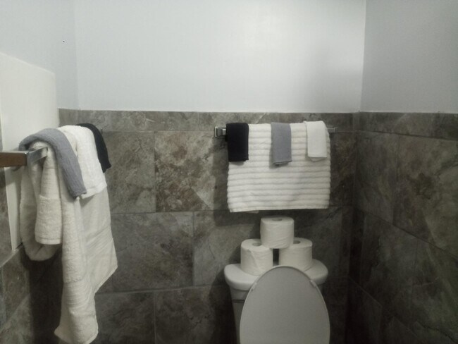 Bath toilet - 268 E Euclid St
