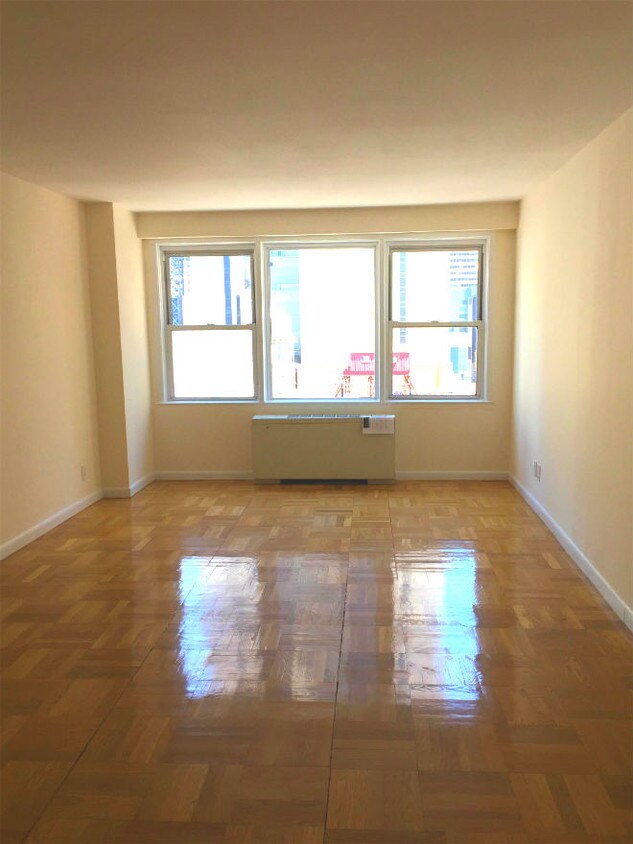 Living Area - 307 W 43rd St