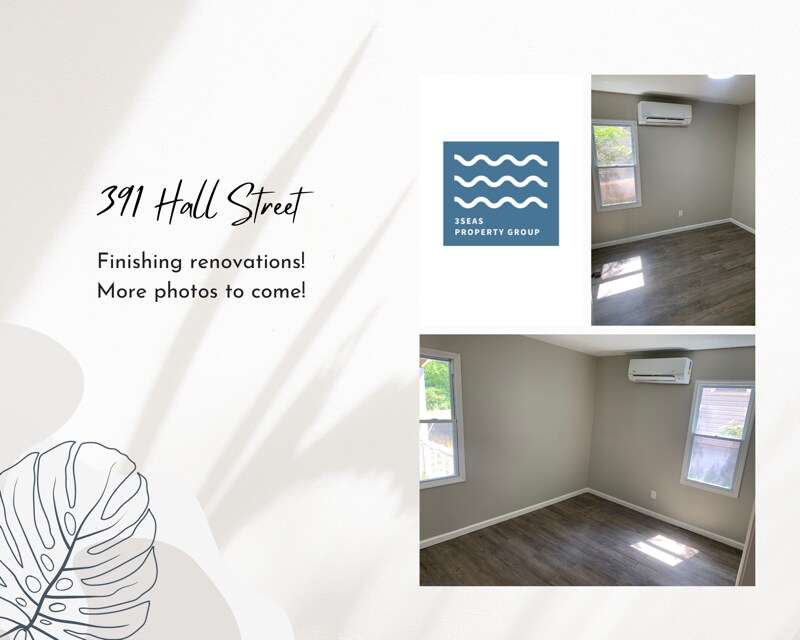 Primary Photo - 391 Hall St