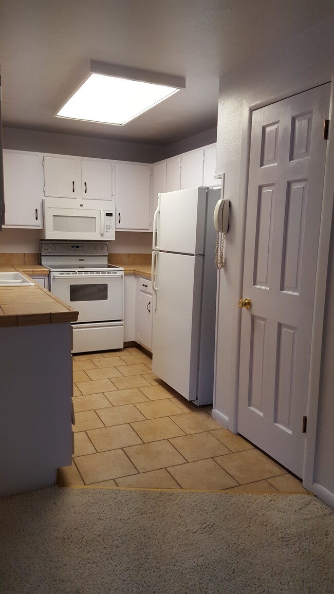 Building Photo - 4845 Silver Spruce Ln