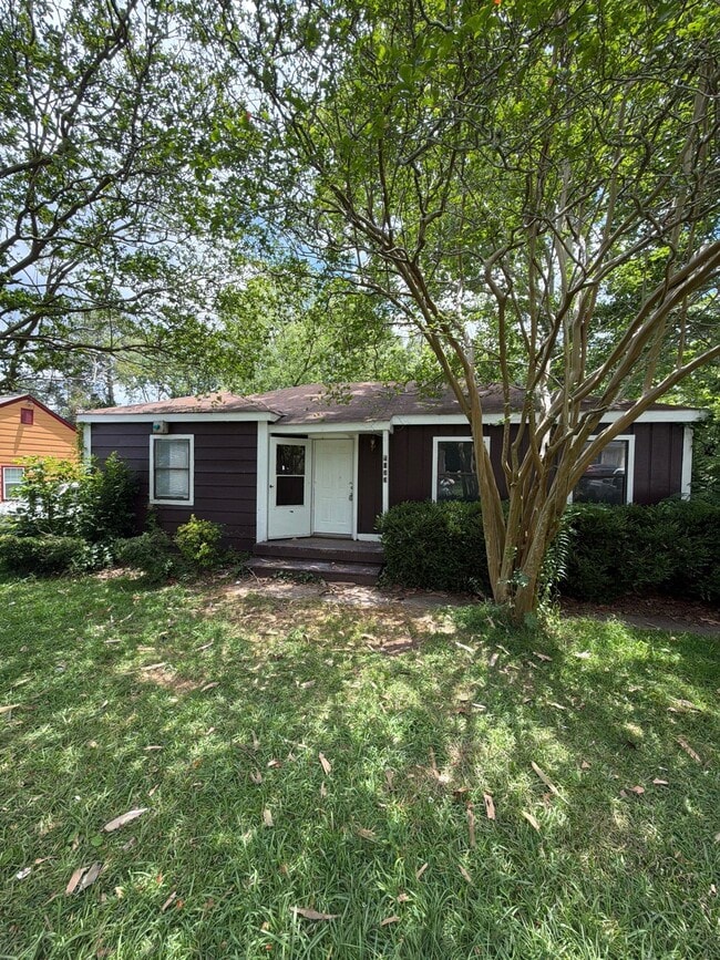Building Photo - 1033 Dorgan St