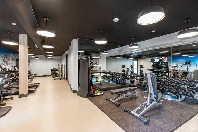 Gym - Roya