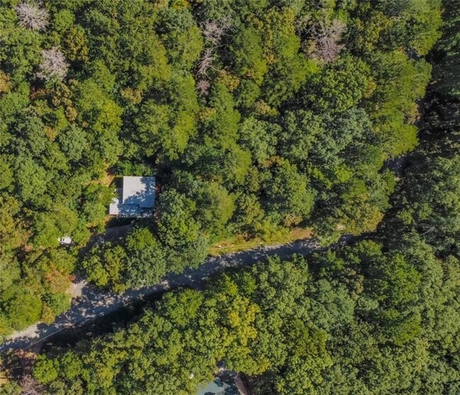 Building Photo - 223 Mango Cir