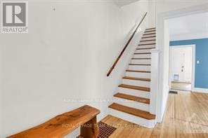 Building Photo - 36 Muriel St