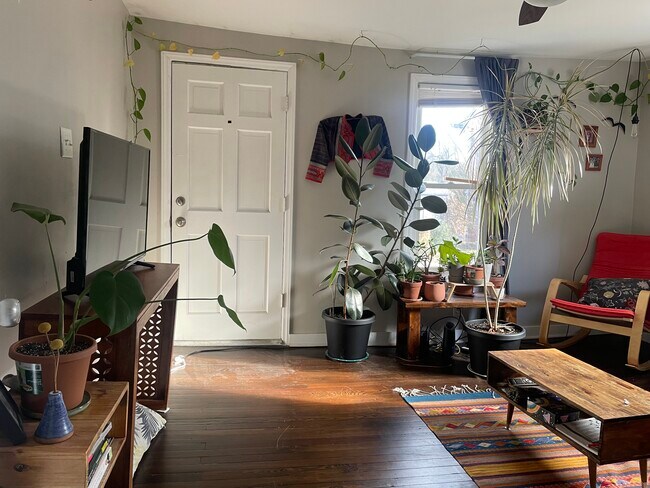 Sala de estar con gran luz natural. - 520 Commonwealth St