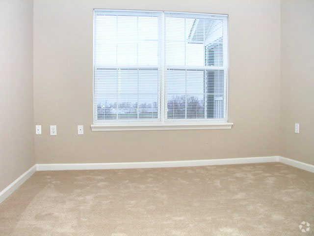 Dormitorio - Deer Chase