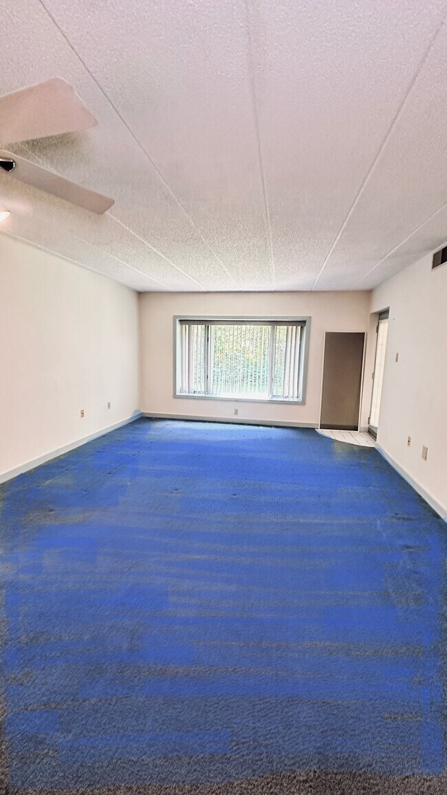 Building Photo - 2105 Dolphin Ave