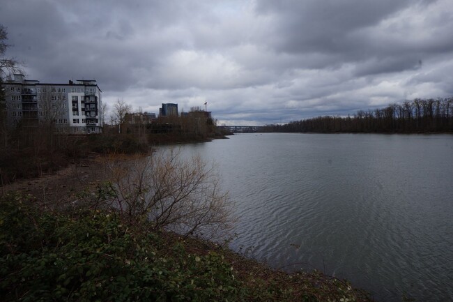 Building Photo - S. Landing 2 bedroom condo with Willamette...