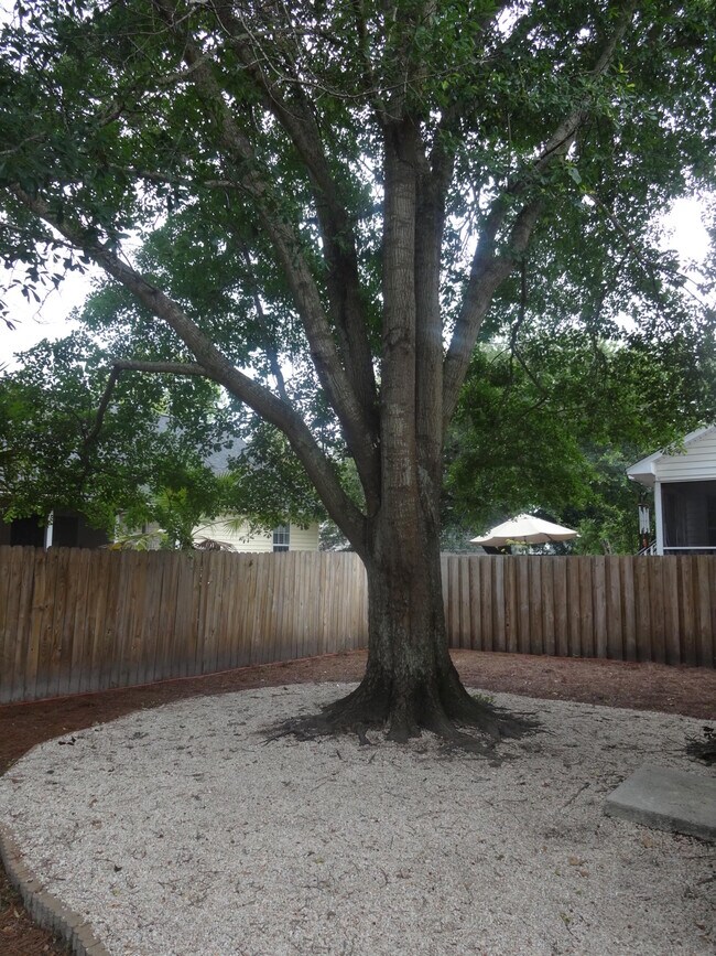 Building Photo - 388 Culver Ave