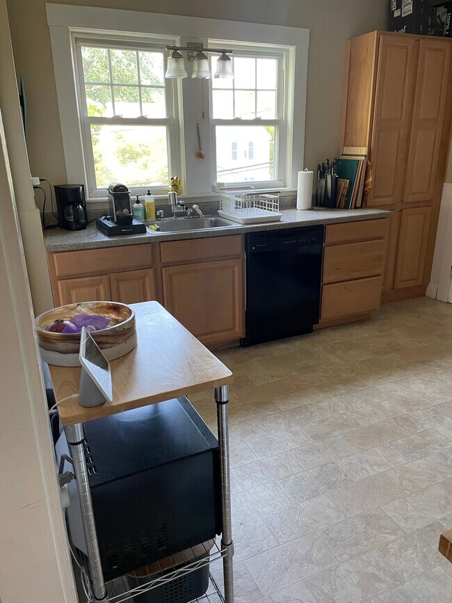 Kitchen w/ Dishwasher & Disposal - 73 Randolph St