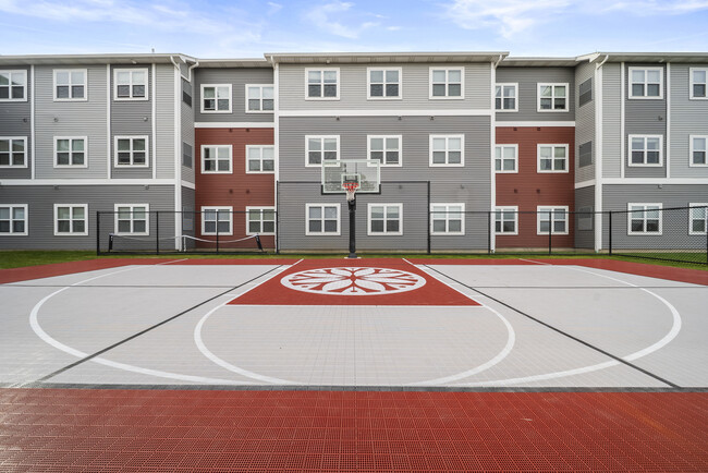 Half Basketball Court - The Feywild