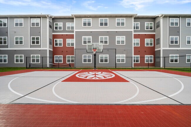 Media cancha de baloncesto - The Feywild