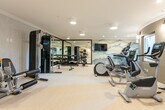 This fitness center is thoughtfully designed to accommodate a full range of workout activities across its single-level layout. The space is divided into distinct functional zones, each equipped with professional-grade machinery. The cardio area features multiple treadmills and elliptical machines, all positioned facing a dramatic watercolor-style mountain landscape mural that spans an entire accent wall. A wall-mounted flat-screen television is centered above the mural, providing entertainment during workouts.

The strength training zone is anchored by a large, black-framed floor-to-ceiling mirror that visually expands the space while allowing users to monitor their form. A full dumbbell rack and adjustable weight bench are positioned nearby, complemented by a cable machine and leg press unit for comprehensive resistance training.

The flooring throughout is light-toned and cushioned, offering comfort underfoot. Textured light grey wallcovering lines several walls, contributing to the refined, neutral aesthetic. Flush-mount and recessed ceiling lights provide consistent, even illumination across the entire space.

Additional features include built-in shelving for storage, a small refreshment counter with a beverage refrigerator, and interior windows that offer views into an adjacent stairwell, enhancing the sense of openness within this well-equipped fitness facility.