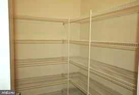 Building Photo - 1528 Witchhazel Cir
