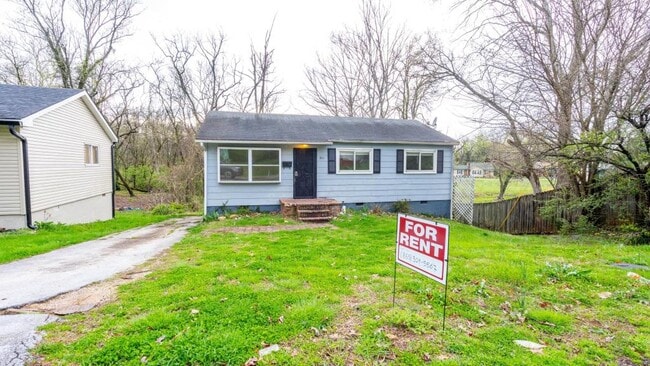 Photo - 801 Biddle St House