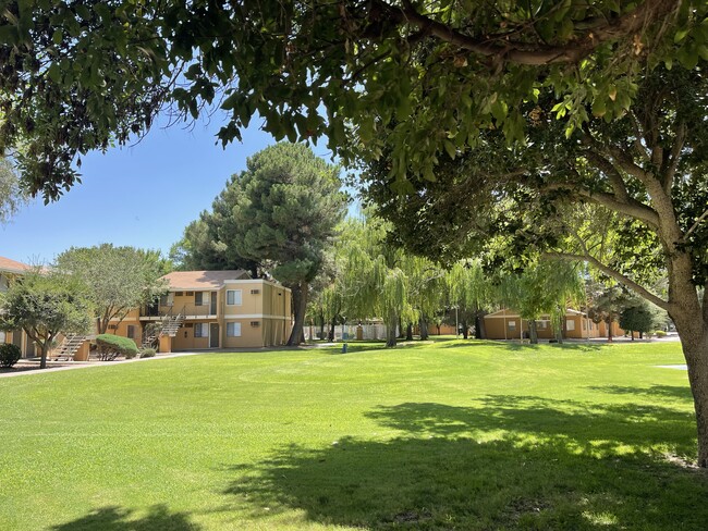 Building Photo - Desert Tree Apartment Homes