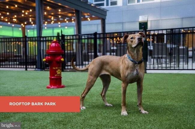 Foto del edificio - 139 N 23rd St