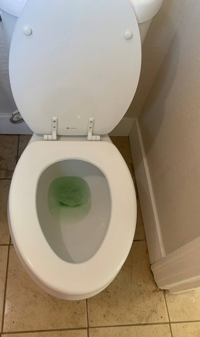 Building Photo - 319 E San Joaquin Ave