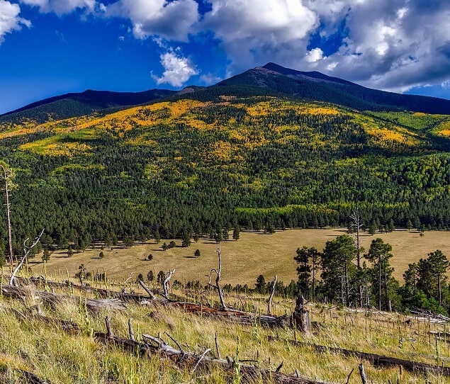 The nearby Coconino National Forest covers nearly 1.9 million acres