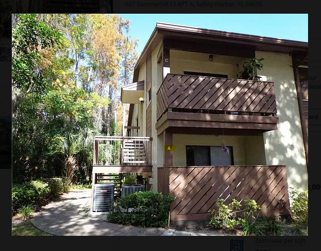 607 Summerhill Ct Unit A, Safety Harbor, FL 34695 Condo for Rent in
