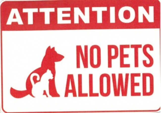 Foto del edificio - Remodeled 3 Bedroom home